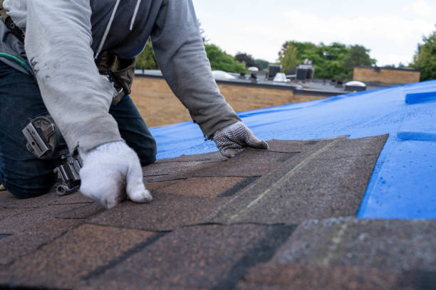 Best Local Roofing Companies  in Parklawn, CA